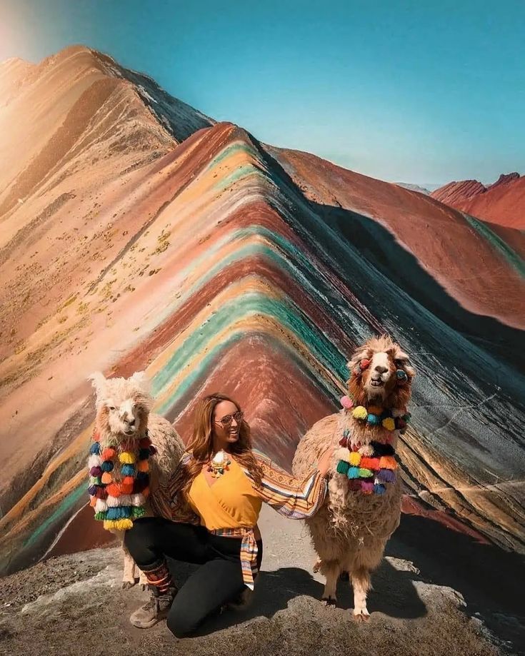 3067fde56bc65cfef9dc49748f955e5e