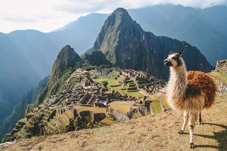 3c3ab96ab3564a9899973027fd8ee761