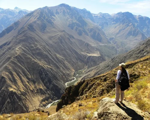 75ae252da71d4f5591524c9392fc42a7